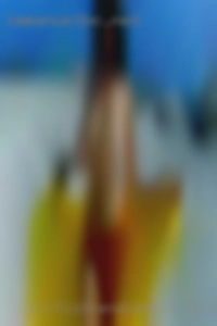 kirtistRendler574 Benson NC